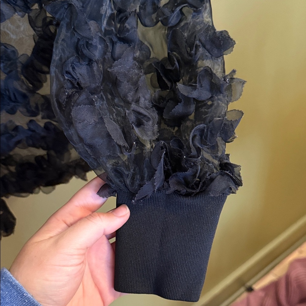 Black Sheer Ruffle Blouse - Picture 5 of 5
